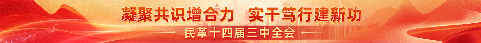 民革十四屆三中全會(huì)