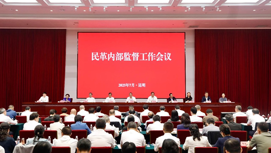 民革內部監督工作會議召開