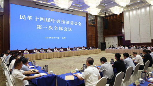 民革十四屆中央經濟委員會第三次全體會議在長沙召開