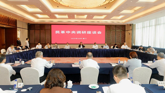 何報翔率隊赴福建圍繞兩岸經貿關系發展調研